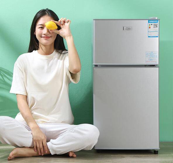 又省电？租房族必备实用省电小冰箱推荐爱游戏爱体育小冰箱哪个牌子好又实惠(图6)
