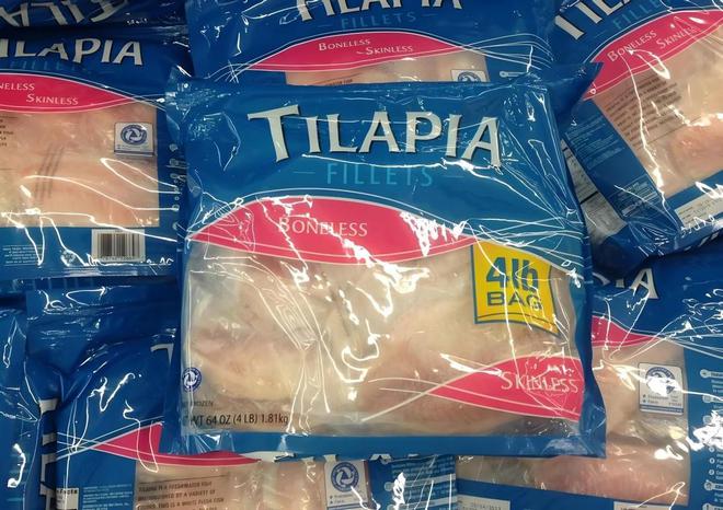 “垃圾鱼”美国人却当健康食品进口！爱游戏体育泛滥成灾罗非鱼被国人称